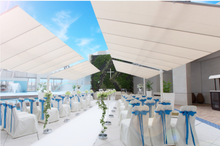 Load image into Gallery viewer, FIM  Flexy Awning Silver powder-coated aluminum structure, canopy size 8 ft. deep and 10 ft. wide
